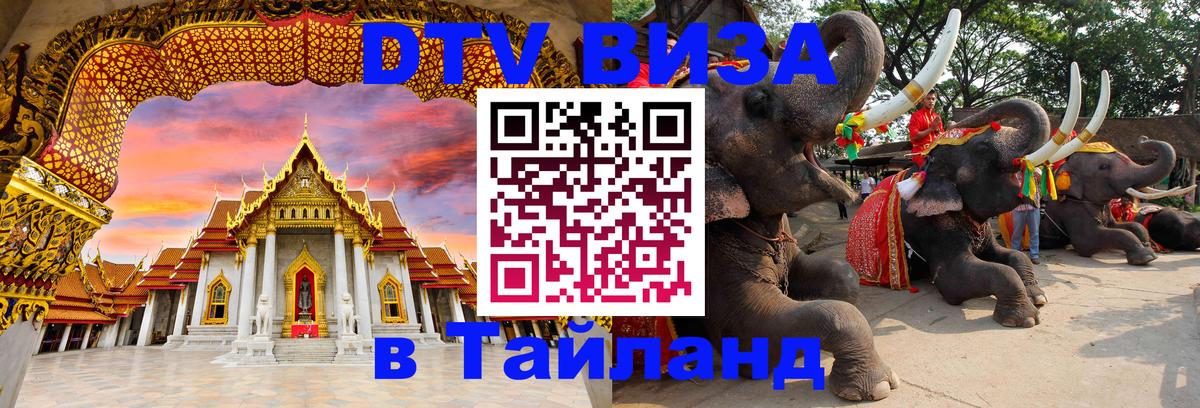 Сколько стоит DTV виза — актуальные цены, оформление даже без документов - Таллин  18.11.2025 